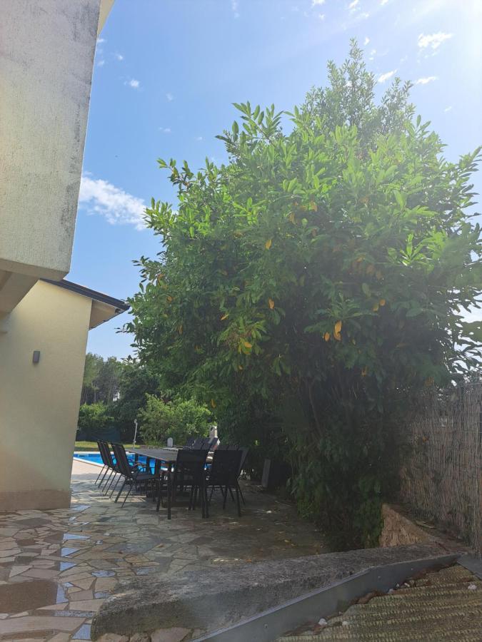 Villa Eucaliptus Istrien Rovinj Bagian luar foto